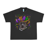 Pigment Black Mardi Gras Pitbull with Hat Urban Heavy Tee - RanaPortraitStore