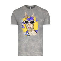 Cloud Rock Llama With Sunglasses Vintage Tee - RanaPortraitStore