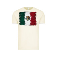 Vintage Arctic Mexican Flag Vintage Tee - RanaPortraitStore