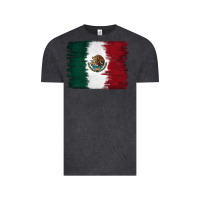 Mexican Flag Vintage Tee | Teevron