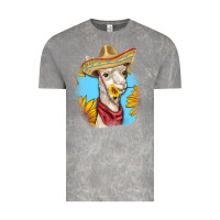 Cloud Rock Sombrero Llama Vintage Tee - RanaPortraitStore