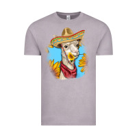 Vintage Zinc Sombrero Llama Vintage Tee - RanaPortraitStore