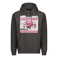 Smoke i teach the cutest little sweethearts Premium Hoodie - MaliasSmallBusiness