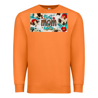 Carrot best mom ever license plate Premium Sweatshirt - Artiststas