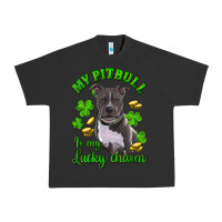 Pigment Black St. Patrick's Day My Pitbull Is My Lucky Charm Urban Heavy Tee - RanaPortraitStore
