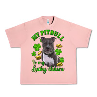 Salmon St. Patrick's Day My Pitbull Is My Lucky Charm Urban Heavy Tee - RanaPortraitStore