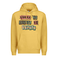 Antique Gold sorry my filter is broken Premium Hoodie - MaliasSmallBusiness