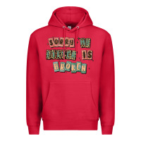 Cardinal sorry my filter is broken Premium Hoodie - MaliasSmallBusiness