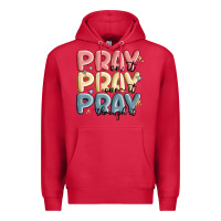 Cardinal pray on it pray over it pray through it Premium Hoodie - MaliasSmallBusiness