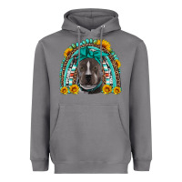 Storm western pitbull rainbow Heavyweight Hoodie - Artiststas
