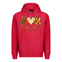 Cardinal Peace love cure Appendix Cancer Premium Hoodie - NancyCooperArtShop
