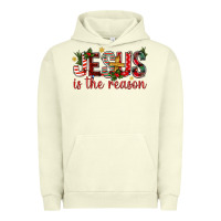 Pigment Pistachio jesus is the reason christmas bbs Urban Hoodie - BundleAndBundleShop