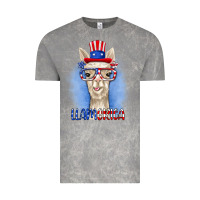 Cloud Rock llamerica Vintage Tee - RanaPortraitStore