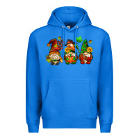 True Royal fall gnomes with pumpkin pie Premium Hoodie - AdoDesignShop
