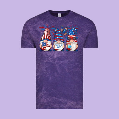 Vintage Tee fourth of july gnomes