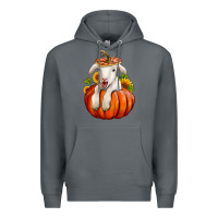Rock fall pumpkin lamb nancy cooper Premium Hoodie - NancyCooperArtShop