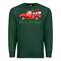 Sports Green merry christmas truck gnomes Premium Sweatshirt - AdoDesignShop