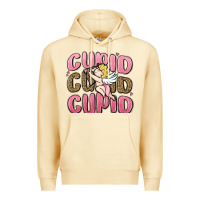 Cupid Cupid Cupid Valentine's Day Premium Hoodie | Teevron