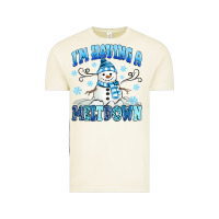 Vintage Arctic i'm having a meltdown Vintage Tee - MaliasSmallBusiness