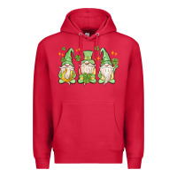 Cardinal st. patrick's day gnomes Premium Hoodie - MaliasSmallBusiness