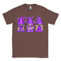 Chestnut Domestic Violence Warrior Gnomes Classic Tee - texasbilliewilder