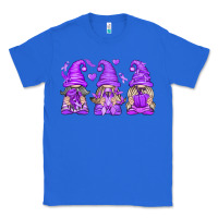 True Royal Domestic Violence Warrior Gnomes Classic Tee - texasbilliewilder