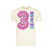 Vintage Arctic 3 rex pink dinosaur Vintage Tee - MaliasSmallBusiness