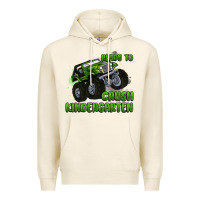 Tofu ready to crush kindergarten Premium Hoodie - MaliasSmallBusiness