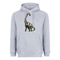 Heather Grey brachiosaurus Heavyweight Hoodie - Artiststas