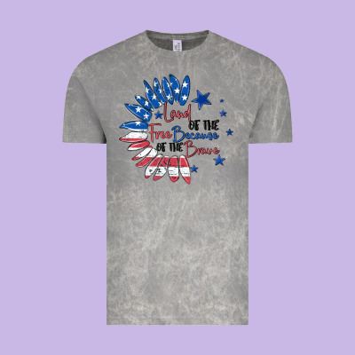 Vintage Tee land of the free because of the brave