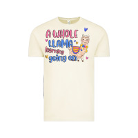 Vintage Arctic a whole llama learning going on Vintage Tee - MaliasSmallBusiness