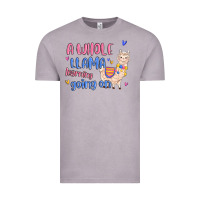 Vintage Zinc a whole llama learning going on Vintage Tee - MaliasSmallBusiness
