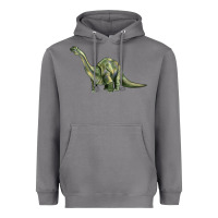Storm dinosaur brontosaurus Heavyweight Hoodie - Artiststas
