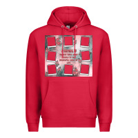 Cardinal family photo collage Premium Hoodie - MaliasSmallBusiness