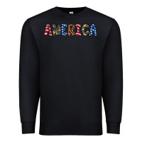 Black america 4th of july Premium Sweatshirt - Artiststas