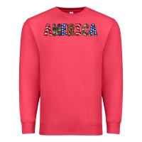 Cardinal america 4th of july Premium Sweatshirt - Artiststas