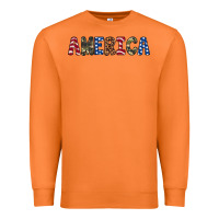 Carrot america 4th of july Premium Sweatshirt - Artiststas