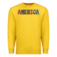 Lemon america 4th of july Premium Sweatshirt - Artiststas