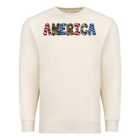 Sandshell america 4th of july Premium Sweatshirt - Artiststas