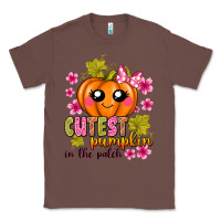 Chestnut Cutest Pumpkin In The Patch Classic Tee - texasbilliewilder