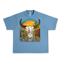 Pebble Blue shouldve come with a warning Urban Heavy Tee - texasbilliewilder