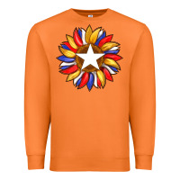 Carrot american flag and sunflower with star Premium Sweatshirt - Artiststas