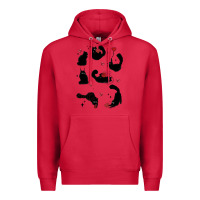 Cardinal valentine cat Premium Hoodie - MaliasSmallBusiness