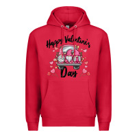 Cardinal happy valentine's day gnome truck Premium Hoodie - MaliasSmallBusiness