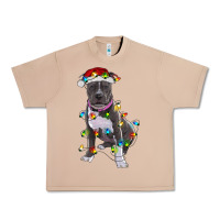 Burro Pitbull With Christmas Lights Urban Heavy Tee - RanaPortraitStore