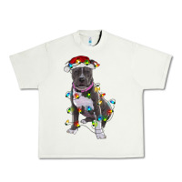 Pistachio Pitbull With Christmas Lights Urban Heavy Tee - RanaPortraitStore