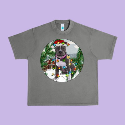 Urban Heavy Tee Pitbull And Farm
