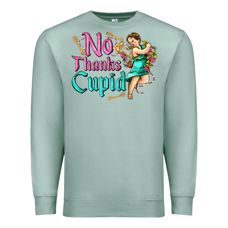 No Thanks Cupid Premium Sweatshirt by AdoDesignShop | Teevron