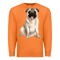 Carrot pug Premium Sweatshirt - JahusDesignShop