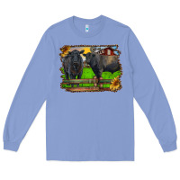 Colony Blue black angus cattle and bull in barnyard Long Sleeve Tee - RanaPortraitStore